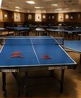 Indoor table tennis tables